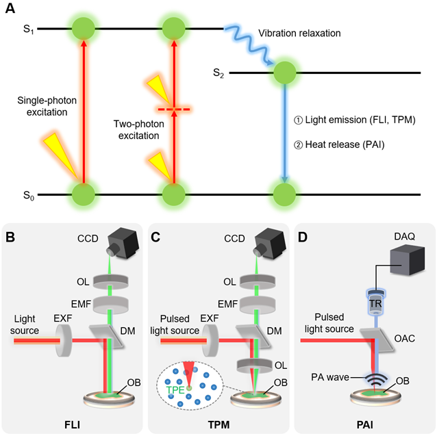 Nanotheranostics Image