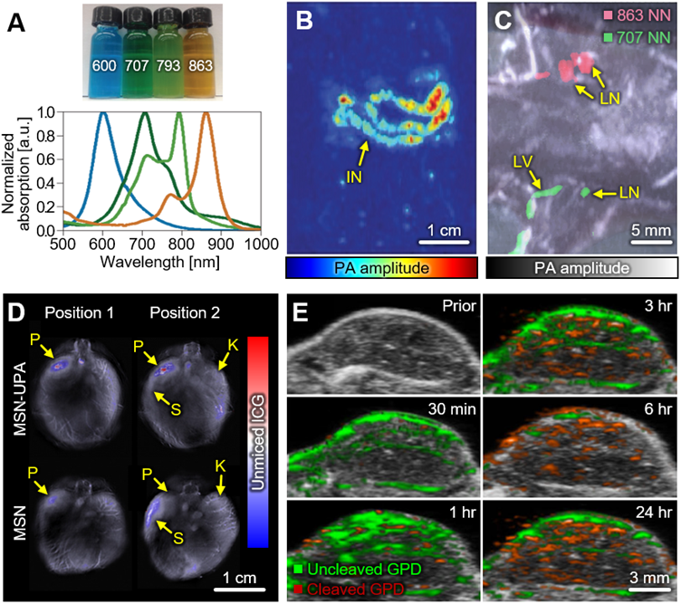 Nanotheranostics Image