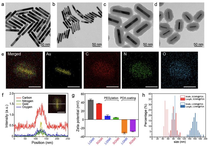 Nanotheranostics Image