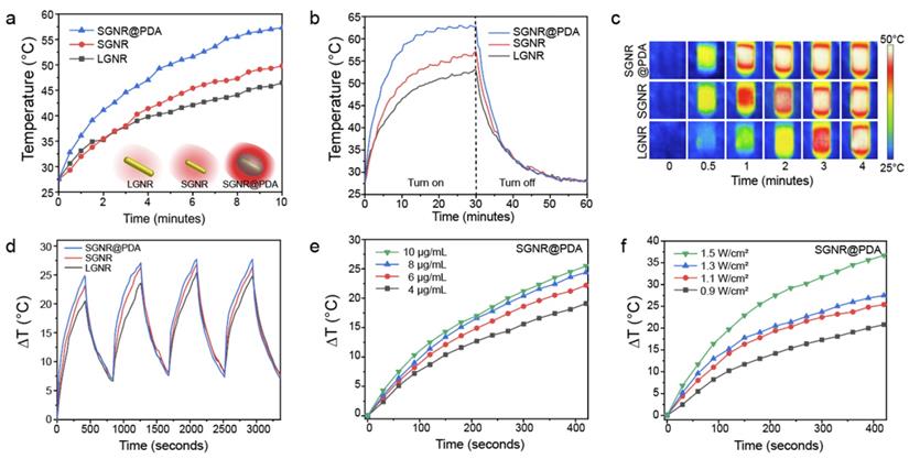 Nanotheranostics Image