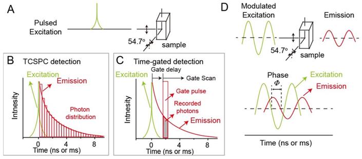 Nanotheranostics Image