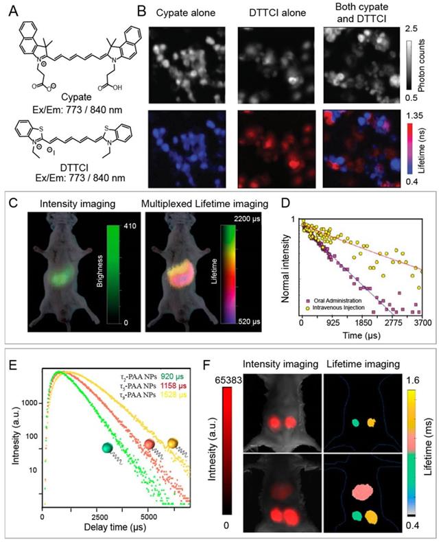 Nanotheranostics Image