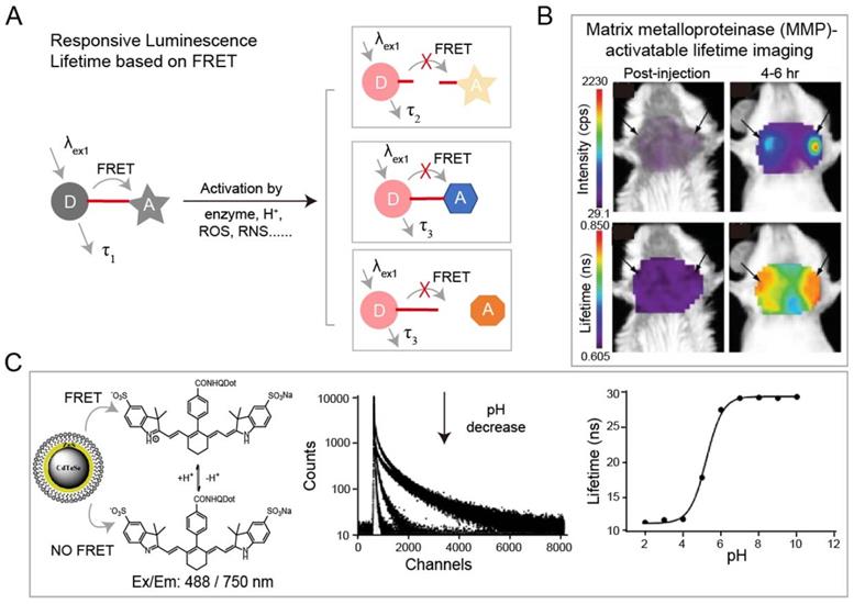 Nanotheranostics Image