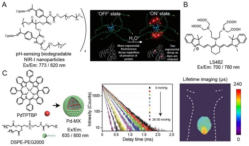 Nanotheranostics Image