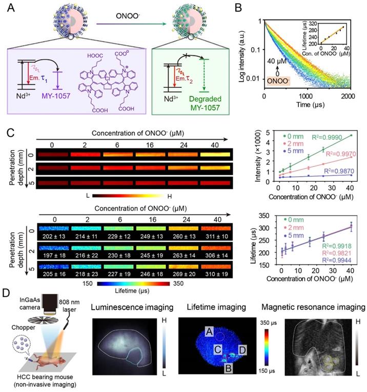 Nanotheranostics Image