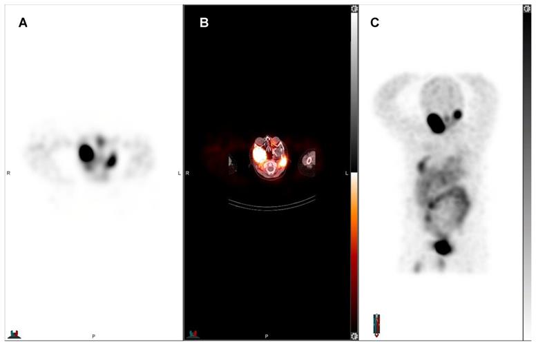 Nanotheranostics Image