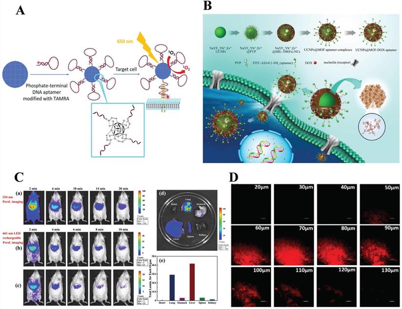 Nanotheranostics Image