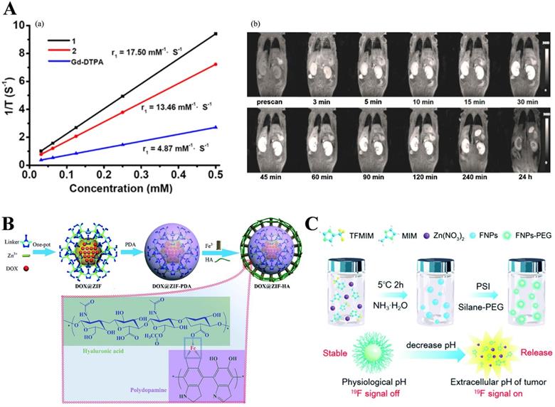 Nanotheranostics Image