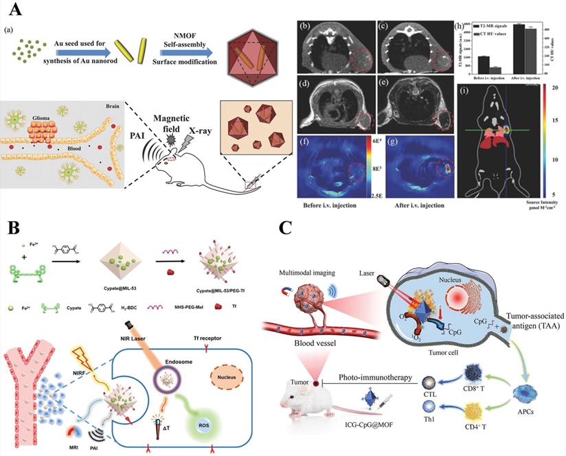 Nanotheranostics Image