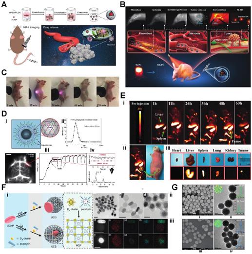 Nanotheranostics Image