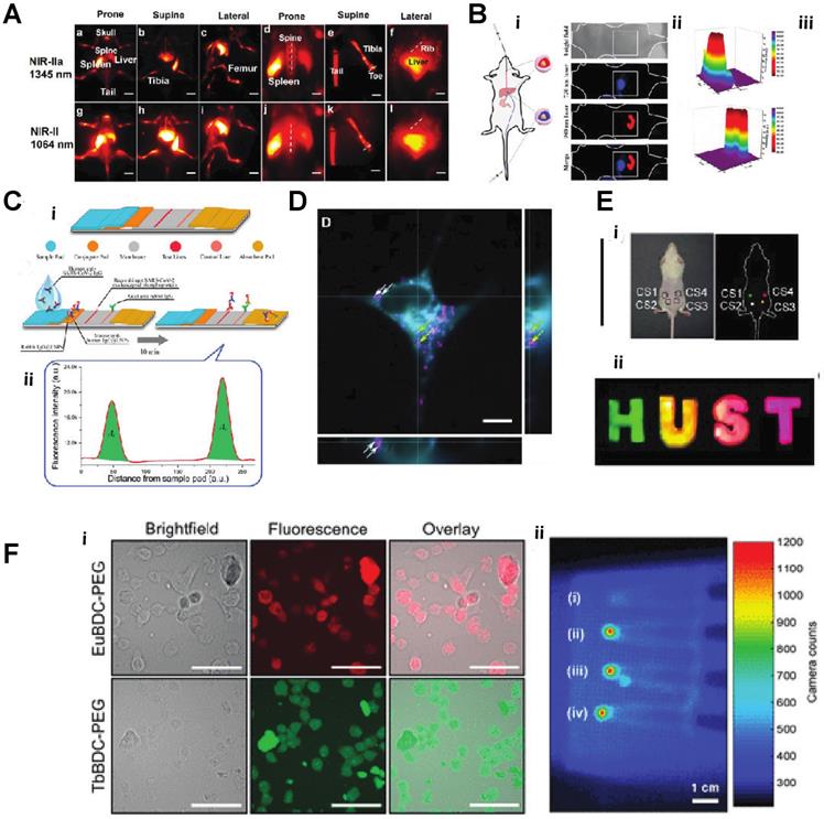 Nanotheranostics Image