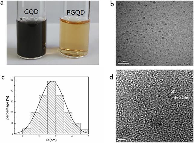 Nanotheranostics Image