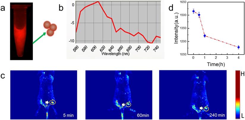 Nanotheranostics Image