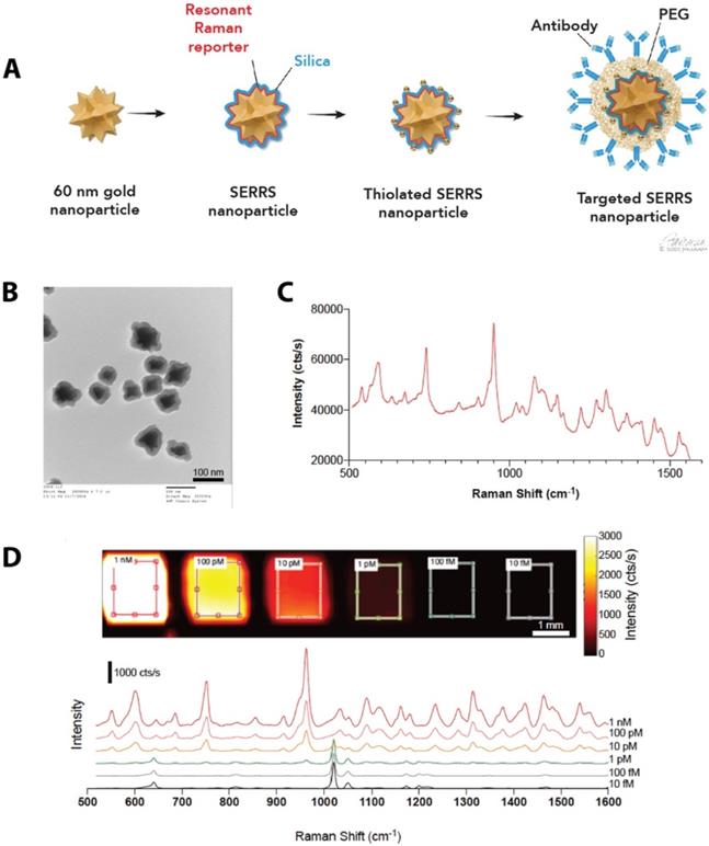 Nanotheranostics Image