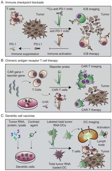 Nanotheranostics Image