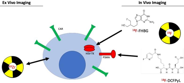 Nanotheranostics Image