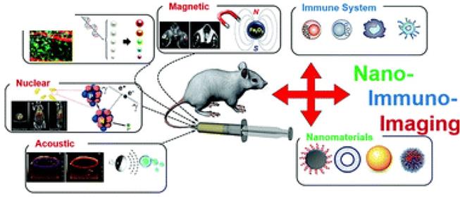 Nanotheranostics Image