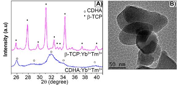 Nanotheranostics Image