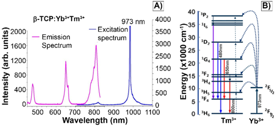 Nanotheranostics Image