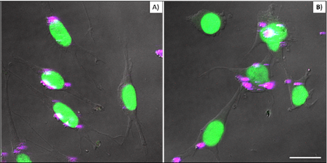 Nanotheranostics Image