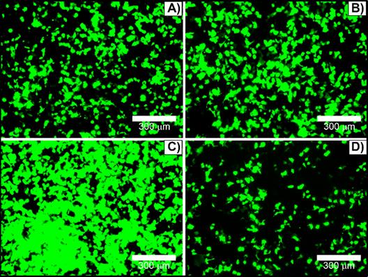 Nanotheranostics Image