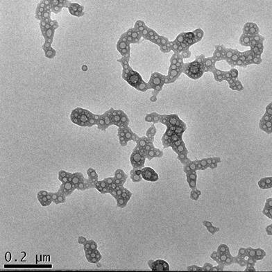 Nanotheranostics Image