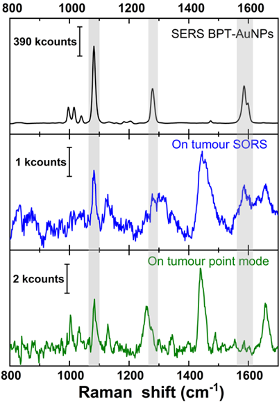 Nanotheranostics Image