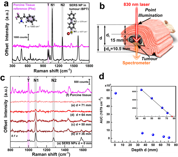 Nanotheranostics Image