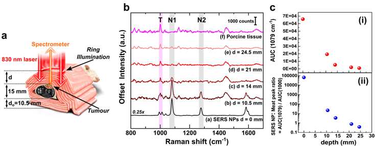 Nanotheranostics Image