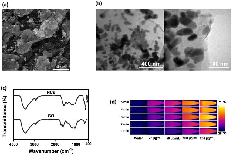 Nanotheranostics Image