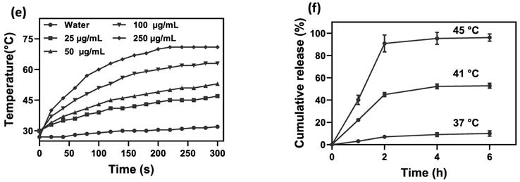 Nanotheranostics Image