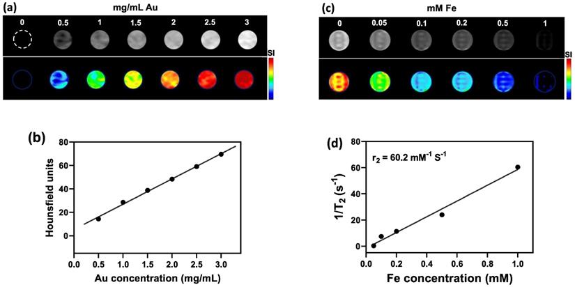 Nanotheranostics Image