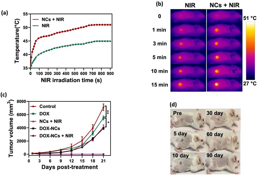 Nanotheranostics Image