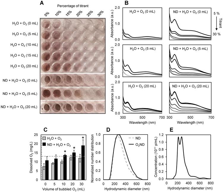 Nanotheranostics Image