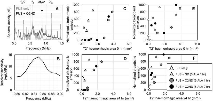 Nanotheranostics Image