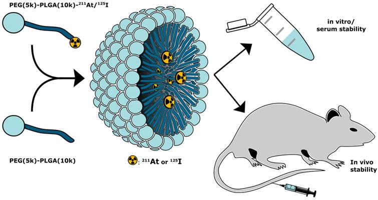 Nanotheranostics Image