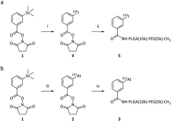 Nanotheranostics Image