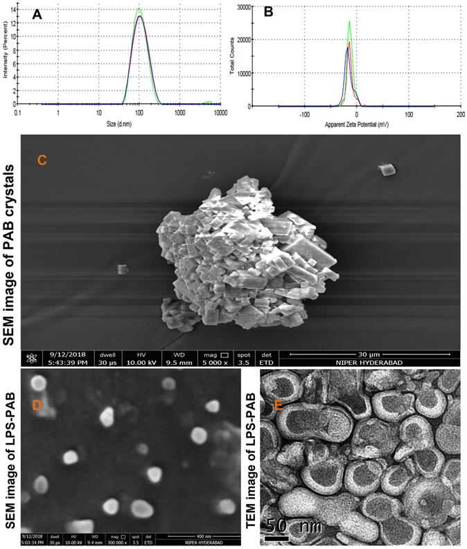 Nanotheranostics Image