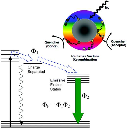 Nanotheranostics Image