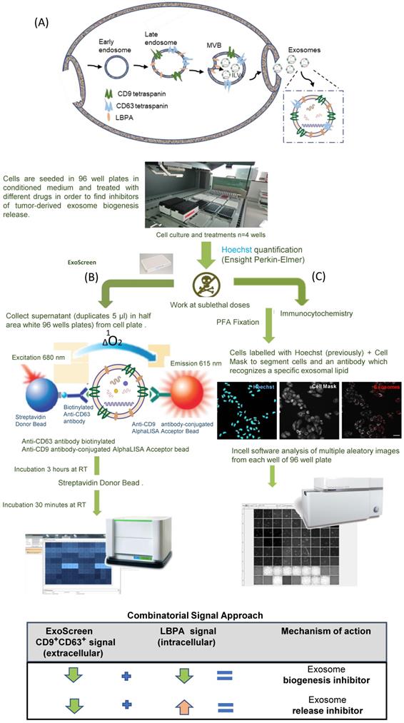 Nanotheranostics Image