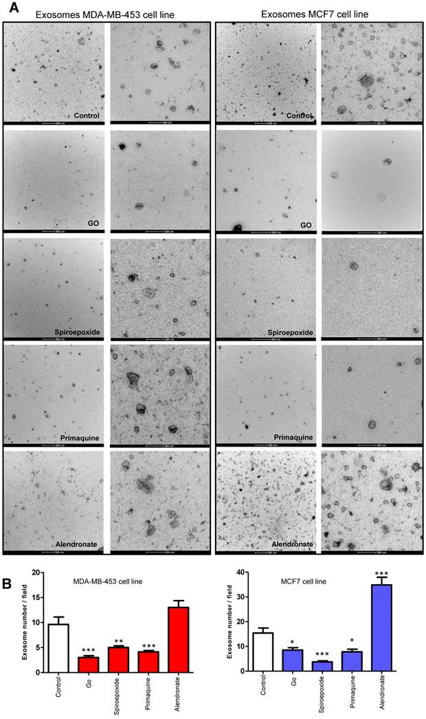 Nanotheranostics Image