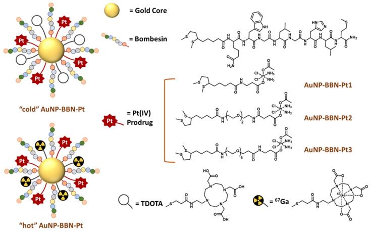 Nanotheranostics Image