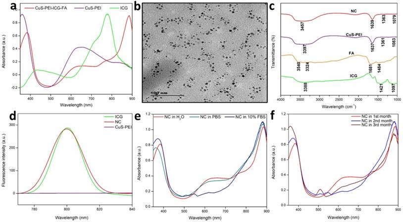 Nanotheranostics Image