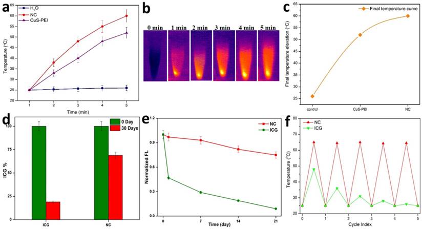 Nanotheranostics Image