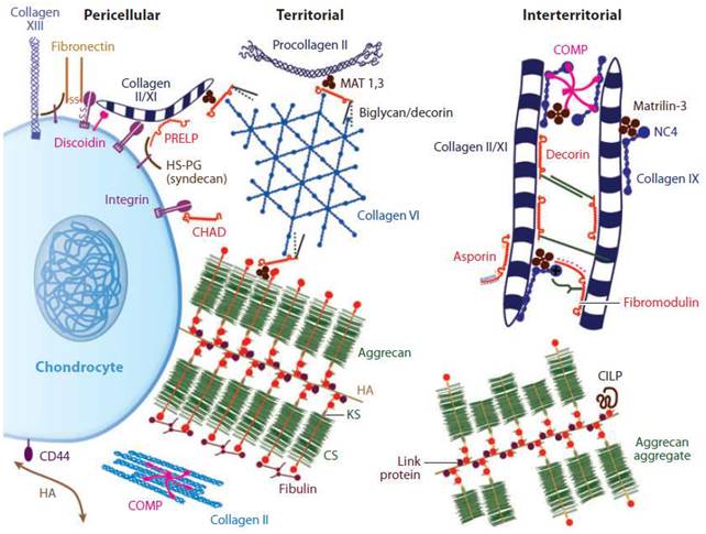 Nanotheranostics Image