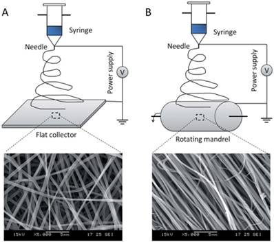 Nanotheranostics Image