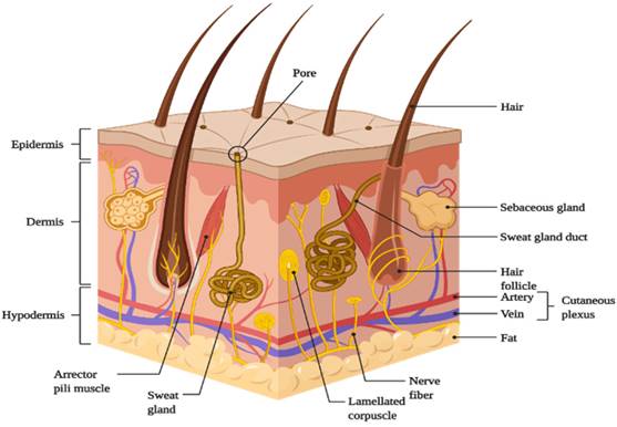 Nanotheranostics Image