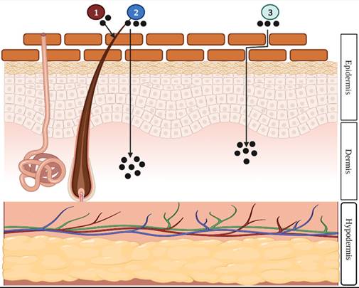 Nanotheranostics Image