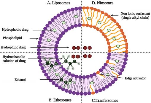 Nanotheranostics Image