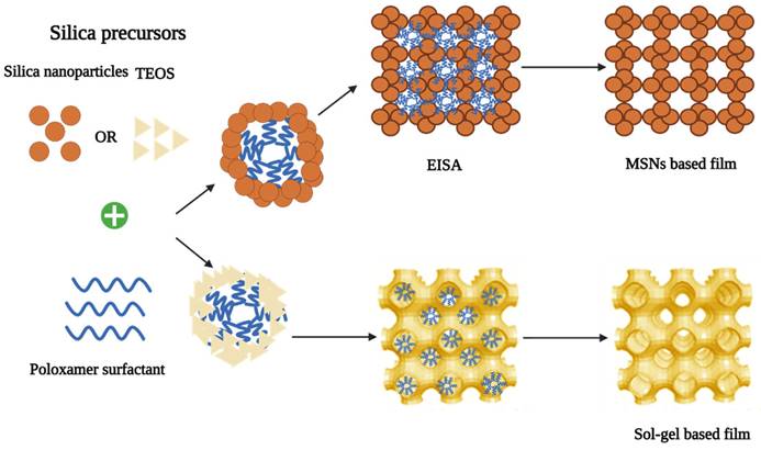 Nanotheranostics Image